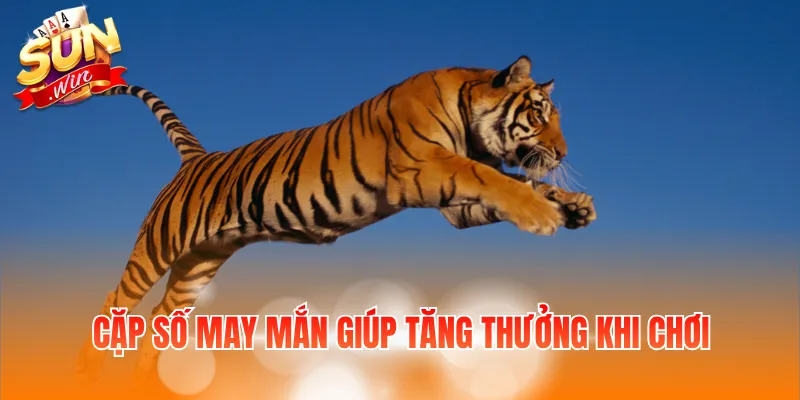 Cặp số may mắn giúp tăng thưởng khi chơi