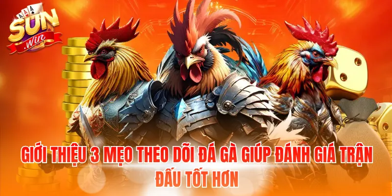 Giới thiệu 3 mẹo theo dõi đá gà giúp đánh giá trận đấu tốt hơn