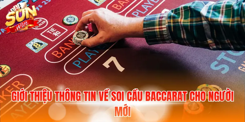 Giới thiệu thông tin về soi cầu Baccarat cho người mới