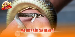 mơ thấy rắn cắn đánh gì
