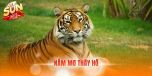 Nằm mơ thấy hổ