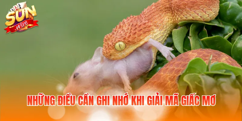 Những điều cần ghi nhớ khi giải mã giấc mơ